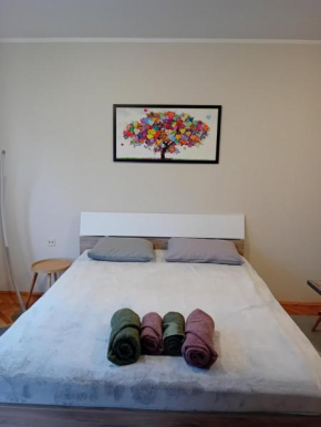 Apartman A-1